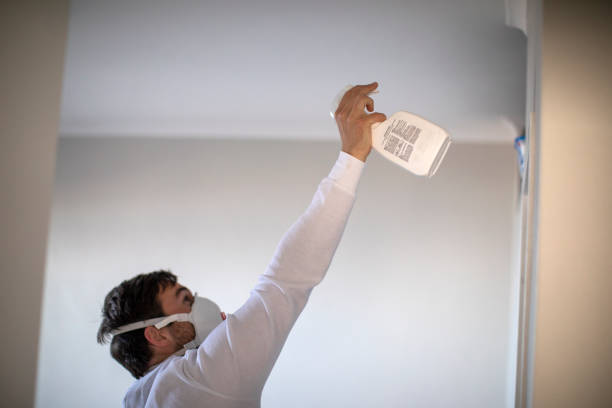Best Commercial Mold Removal  in Huntingdon, PA