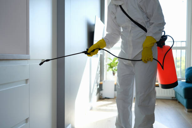 Best Mold Damage Repair  in Huntingdon, PA