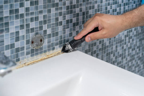 Trusted Huntingdon, PA Mold Removal Experts