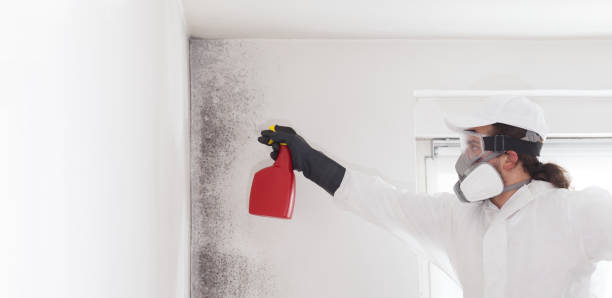 Best Mold Cleaning Services  in Huntingdon, PA