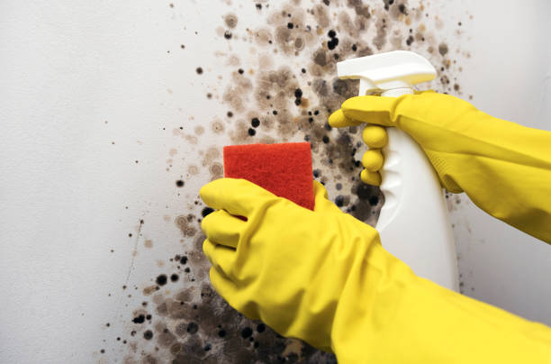 Water Damage Restoration in Huntingdon, PA